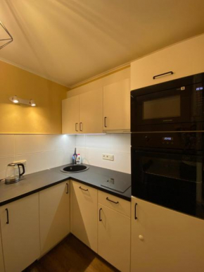 Cat Garden Business Apartments Riga in Riga